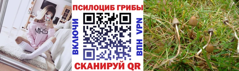 Галлюциногенные грибы GOLDEN TEACHER  KRAKEN рабочий сайт  Пыталово 